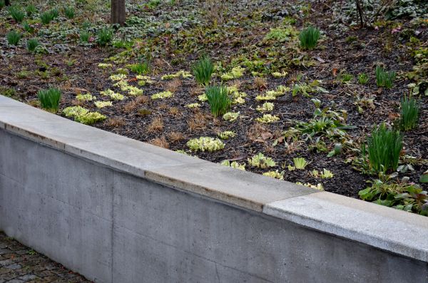 Concrete Wall Pouring Service