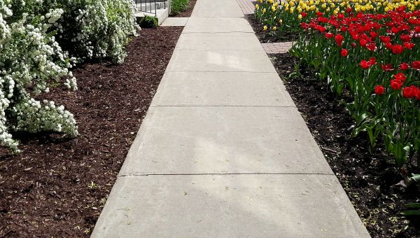 Sidewalk Slab Replacement in Suwanee